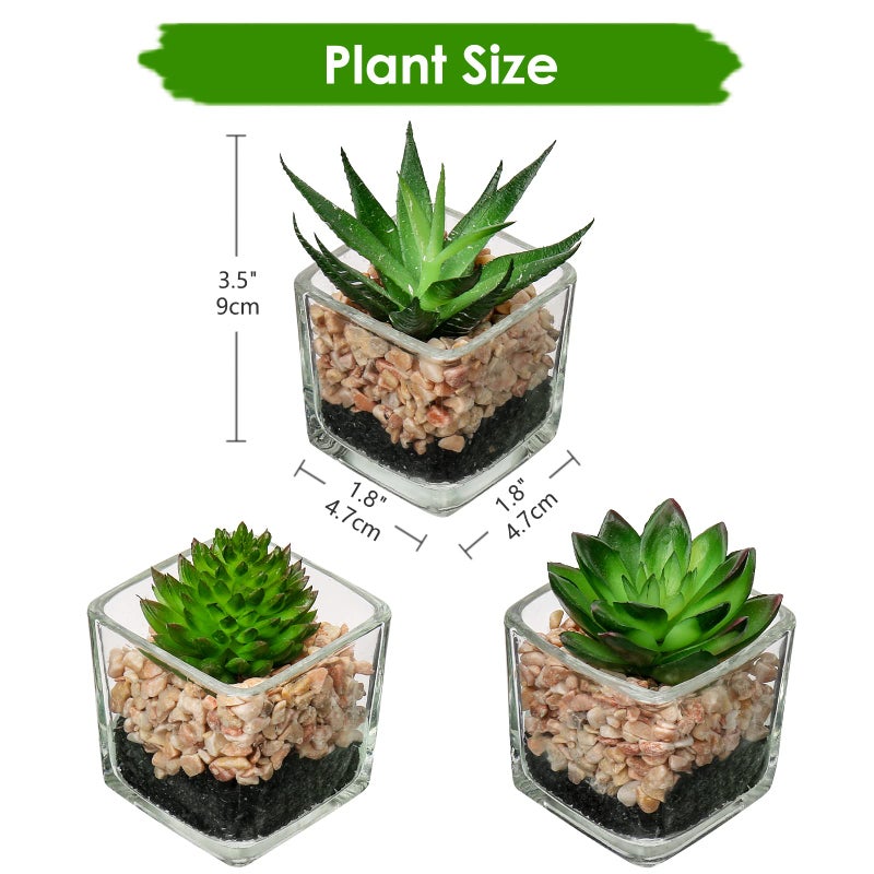 Briful Set of 3 Succulents Plants Artificial in Glass Pots Small Fake Succulents Plants Faux Plants Indoor for Home Office Table Desk Shelf Room Decor - Image 2